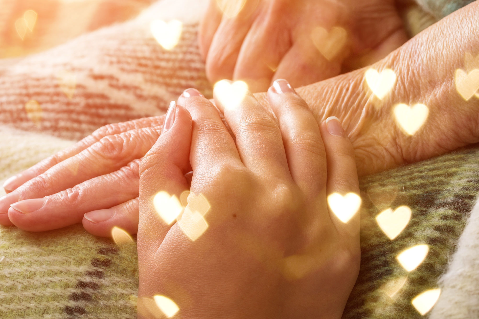 テキストテキスト / TEXT