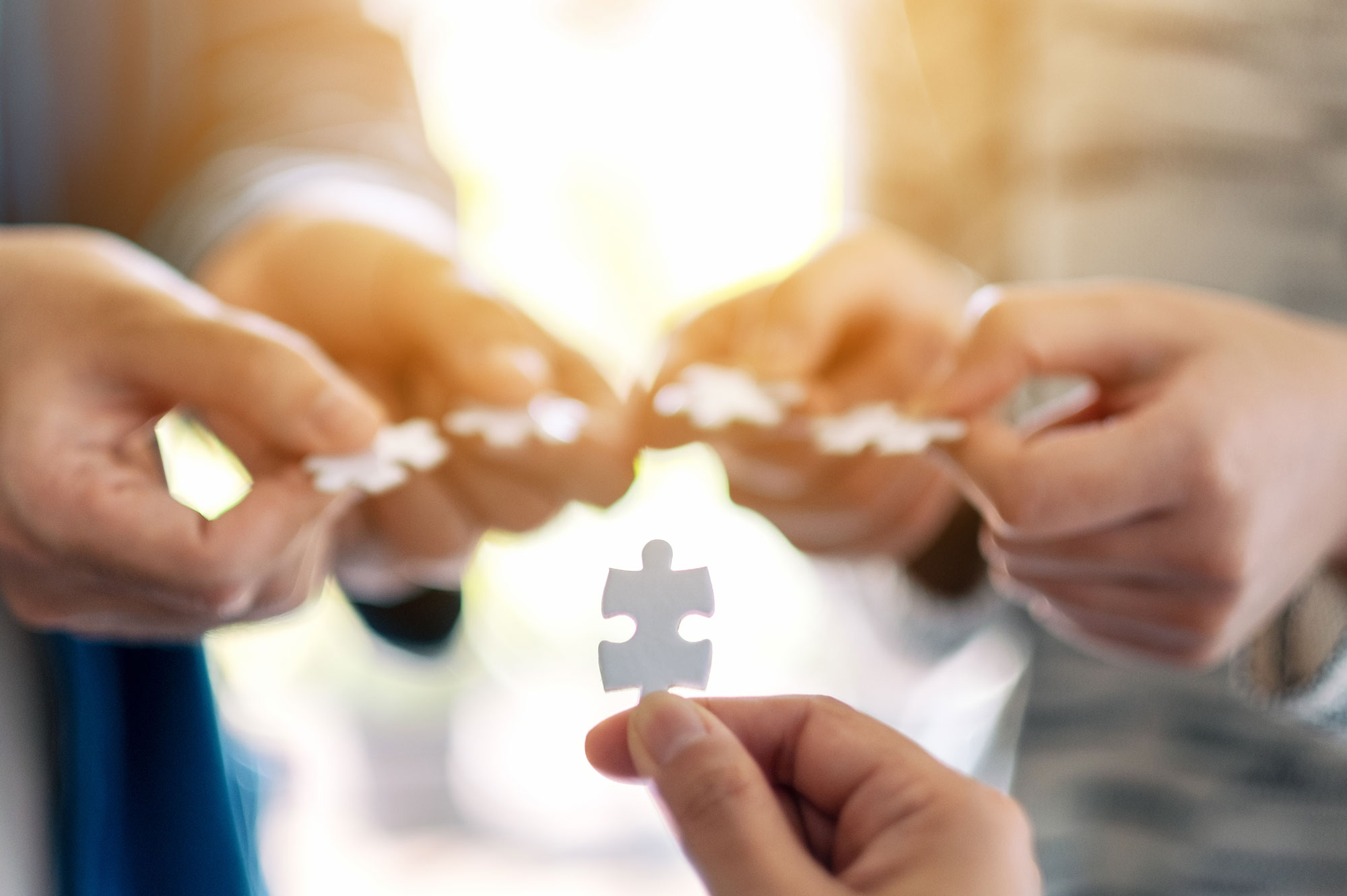 テキストテキスト / TEXT